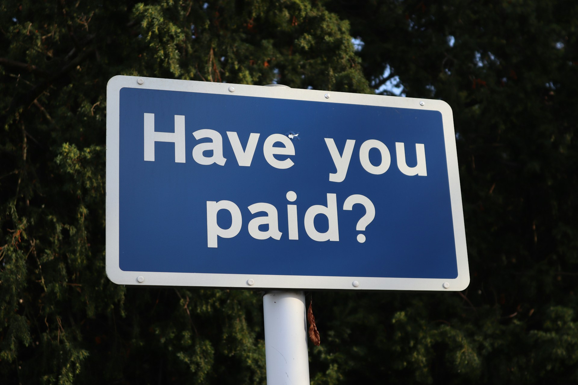 Data Scientist Salary in India 2025: How Much Can You Earn?